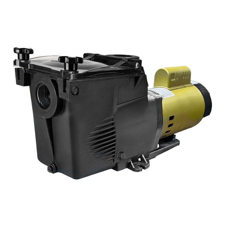 1 HP Inground Pump with Square Wet End (115/230V)