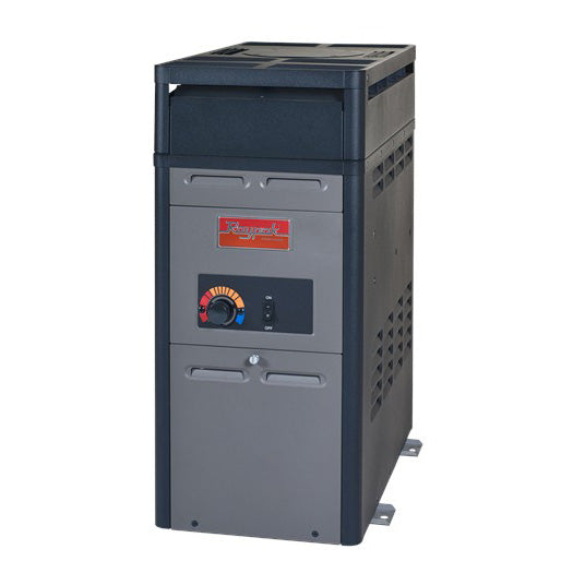RayPak 105,000 BTU Natural Gas Pool Heater (106A)