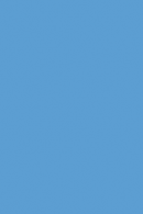 Blue 12 x 18 ft Oval Overlap Liner 48 or 52 inch