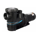 Carvin 1 HP Magnum Force 2 Speed Inground Pump