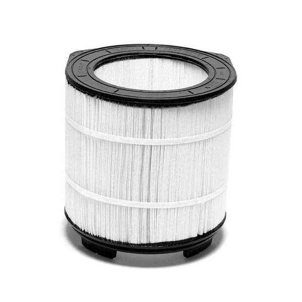 Pentair 250220203S - Cartridge Replacement, 259 Square Feet - Single Filter