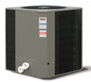 Raypak 119,000 BTU Titanium Heat Pump