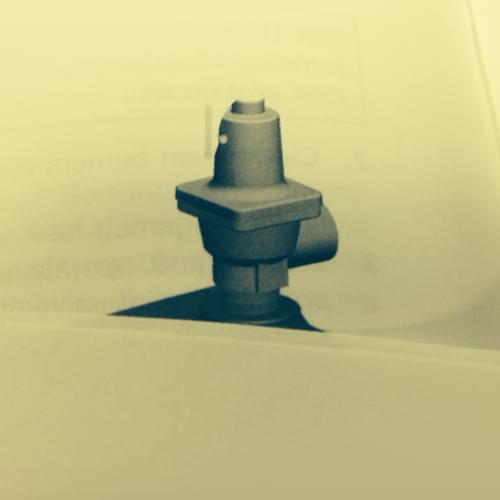 Raypak 3/4" Pressure Relief Valve 30 PSI